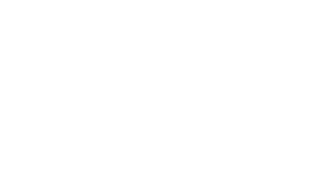 Ugly Swan